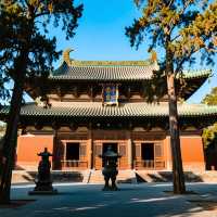 安靜祥和隆興寺之遊