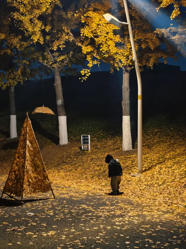 就是沒人告訴你！南京居然還有這麼美的銀杏落葉~