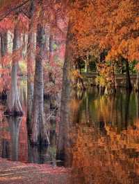 江蘇人嘴真嚴,這麼美的地方藏著不說~