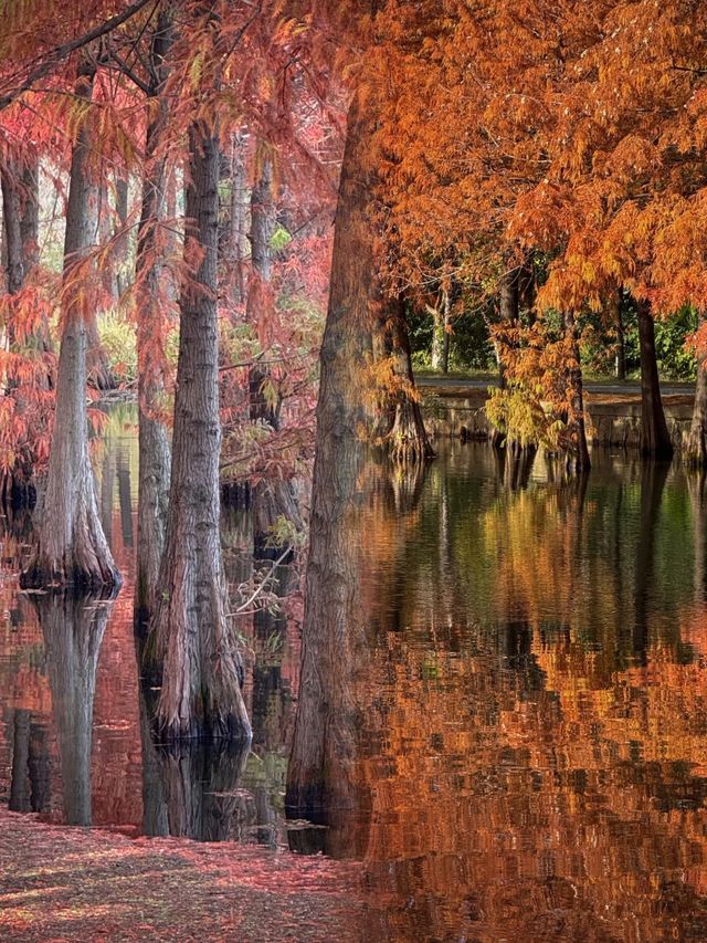 江蘇人嘴真嚴,這麼美的地方藏著不說~ 江蘇人嘴真嚴,這麼美的地方藏著不說~