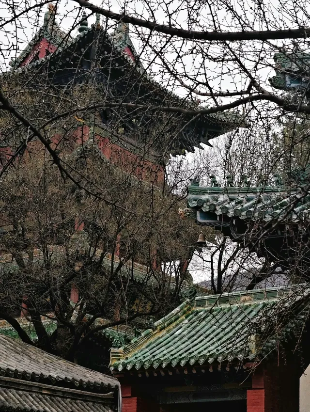 入冬的少林寺 入冬的少林寺
