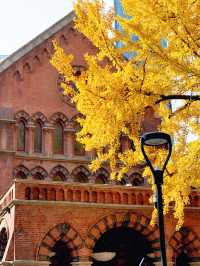 上海外灘賞銀杏不繞路個機位路線攻略