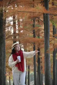 還用去擠白鷺灣?人少景美的水杉秘境!