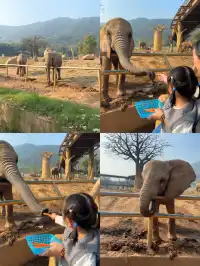 玩瘋了 | 兩天一夜龍之夢也太快樂了吧！