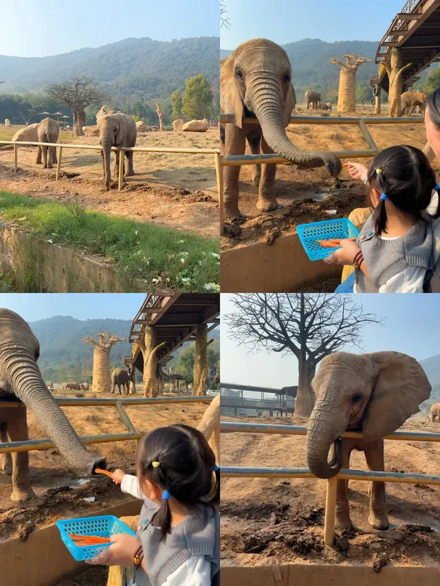 玩瘋了 | 兩天一夜龍之夢也太快樂了吧！