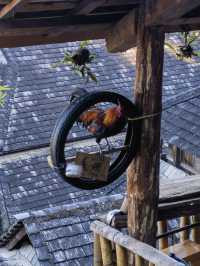 秘境古寨旅拍攻略