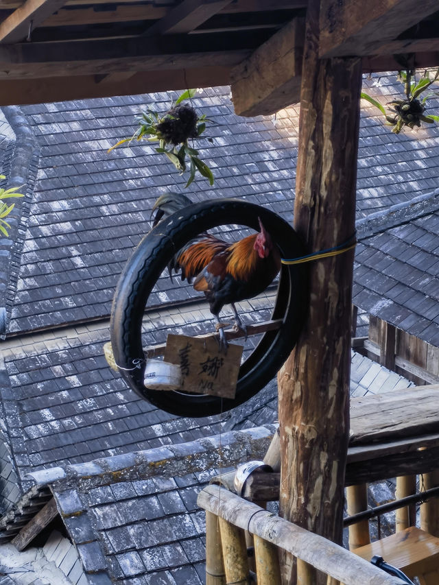 秘境古寨旅拍攻略 秘境古寨旅拍攻略