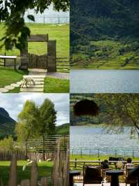 麗江的阿勒泰 文海村這家咖啡館一定要去❗️