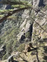 女大爬黃山 不住宿版路線