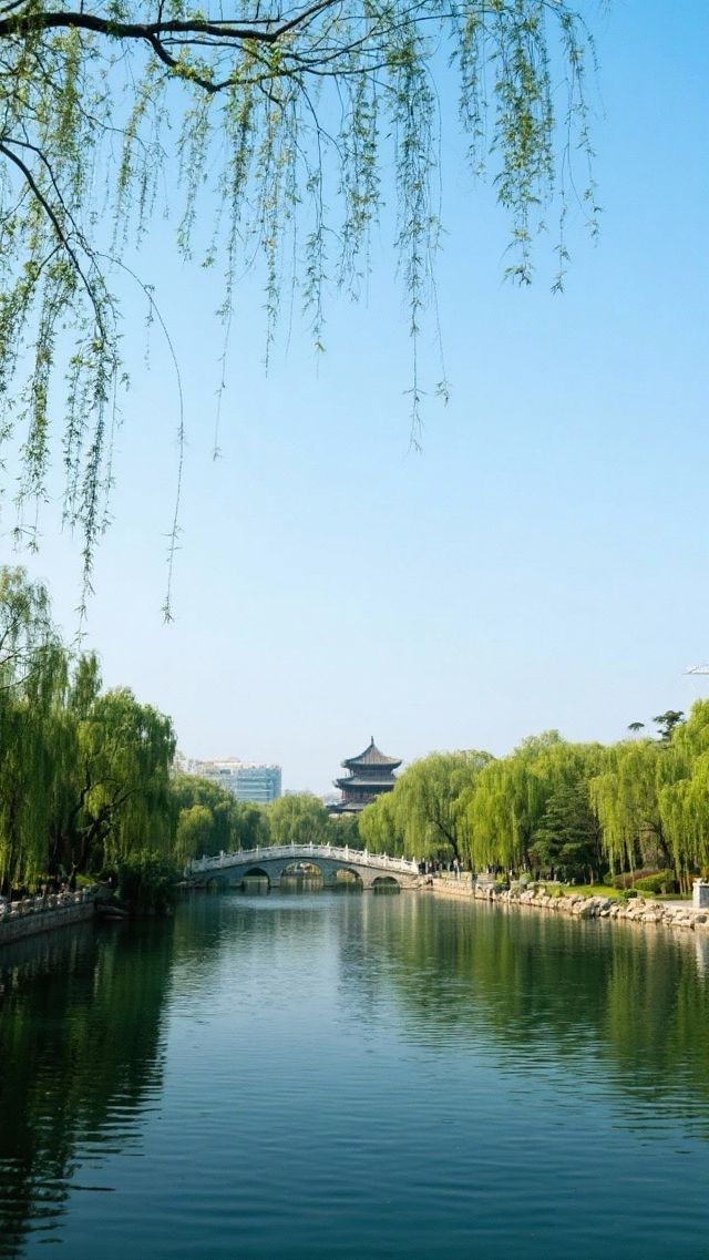 山東美景,美食 山東美景,美食