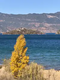 被瀘沽湖美鼠！12.4實拍！