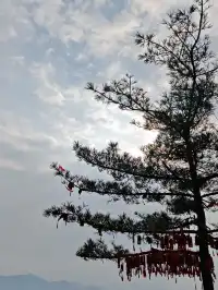 在老君山遇見雙重幸運