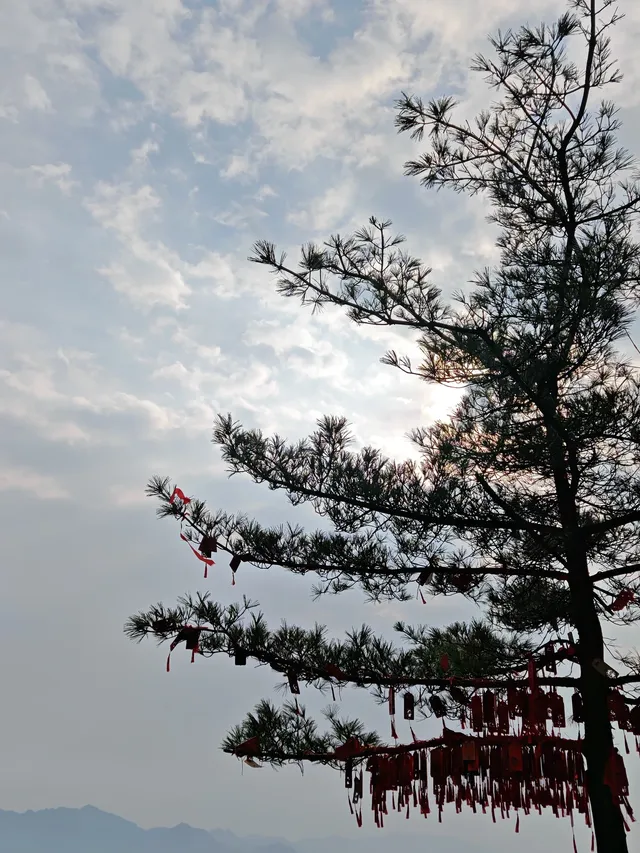 在老君山遇見雙重幸運 在老君山遇見雙重幸運