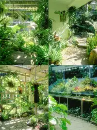 廈門植物園 | 像植物一樣呼吸