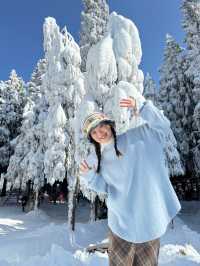 準備好來仙女山玩雪了嘛