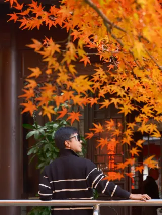 So stunning! Nanjing Qixia Mountain is the top spot for maple viewing