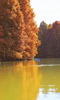 終於等來上海天花板水杉林的封神期附攻略