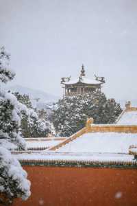 瀋陽故宮的雪太絕了!冬日限定版紅牆白雪,美到窒息!