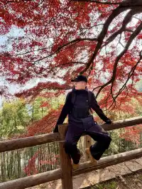 莫干山紅色氛圍已拉滿，趕緊衝！！