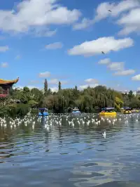 昆明漫遊記day3在翠湖發呆也太舒服了吧!