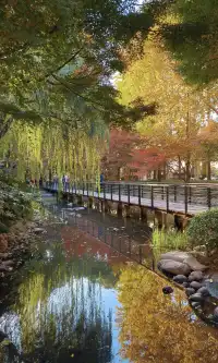 上海市中心兩小時賞秋路線