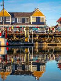 加拿大包車遊冬天限定美景全收