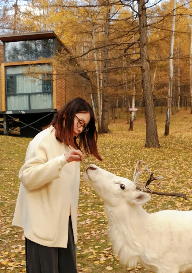 北京自駕阿爾山追秋 北京自駕阿爾山追秋