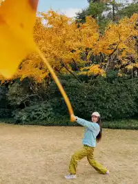 上海植物園紅葉撿秋墜美機位