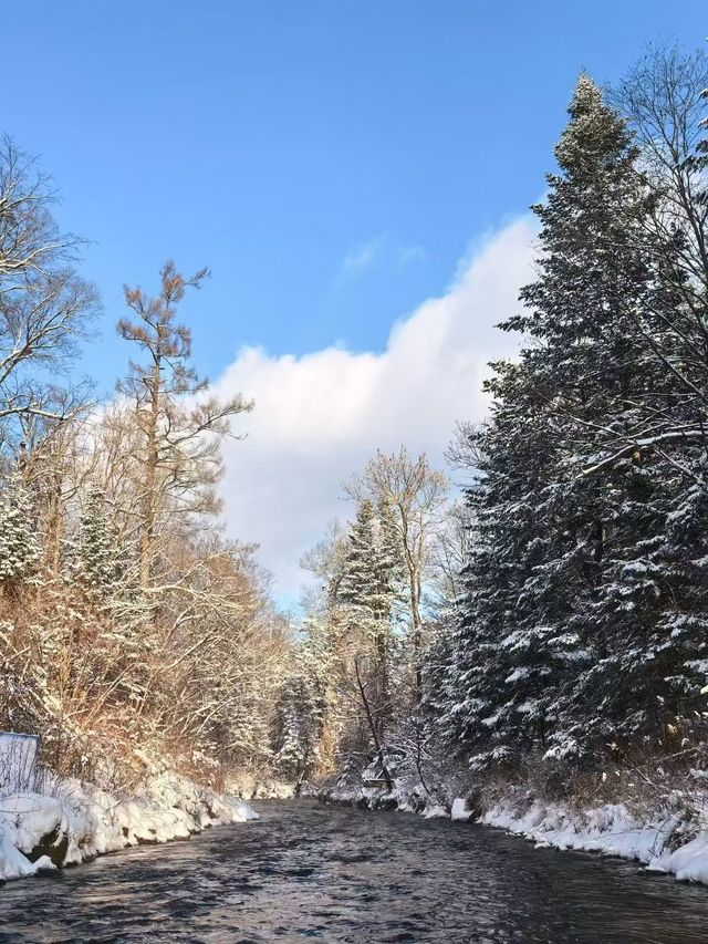長白山滑雪攻略冬日限定快樂！快來碼住這份玩雪指南！