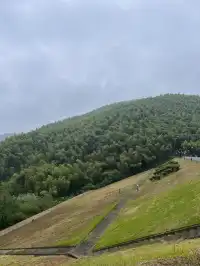 在莫干山見到了頂級的寵物友好