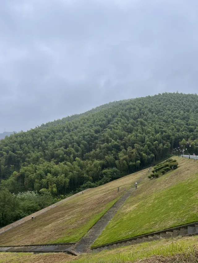在莫干山見到了頂級的寵物友好 在莫干山見到了頂級的寵物友好