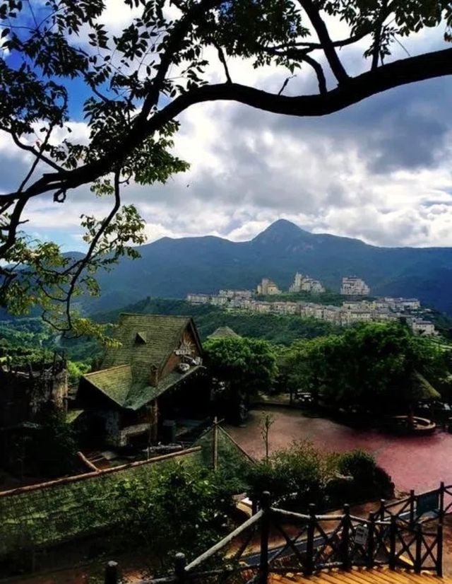 藏在深圳華僑城的慢生活天堂拍照打卡聖地! 藏在深圳華僑城的慢生活天堂拍照打卡聖地!