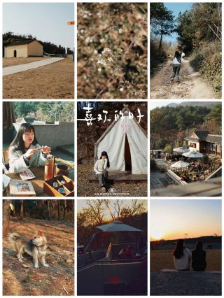 봄꽃이 만발한 십리장산