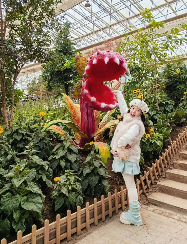 暴走48小時!瀋陽最全逛吃攻略懶人必存