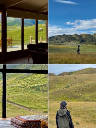 감난 비경｜「숨김」과 「야생」에 대한 고급 탐험