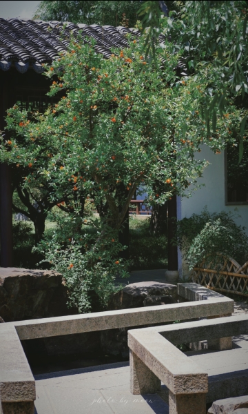 蘇州可園｜ザクロの花はまるで炎のような初夏の最も美しい限定色