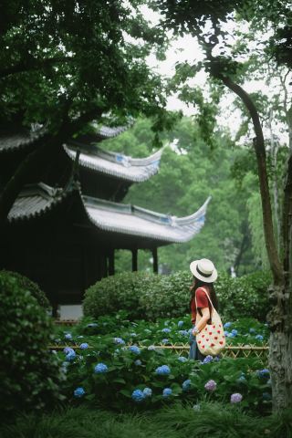 中式庭園の一角が驚きの美しさ