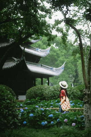 A Stunning Corner of a Chinese Garden