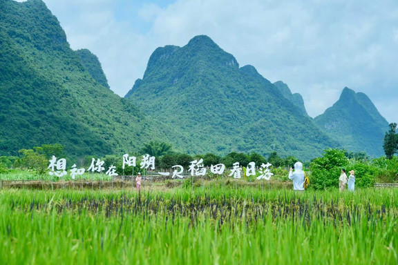 一尺稻田咖啡 参考图 2