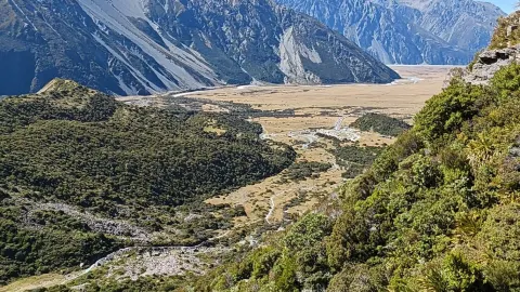 New Zealand 8-day tour nanny-level guide for lazy travelers — traveler post in Bluff
