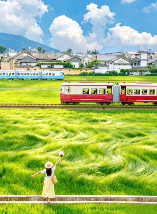 Xizhou rice field mini train | Miyazaki-style healing photo guide