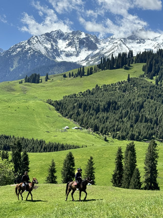 My first solo tour of Yili with a Ctrip group tour was an absolute gem! It completely shattered my preconceived notions about group tours. Itinerary: In and out of Yining.