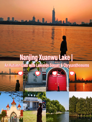 Nanjing Xuanwu Lake | A lakeside sunset and autumn chrysanthemum rendezvous