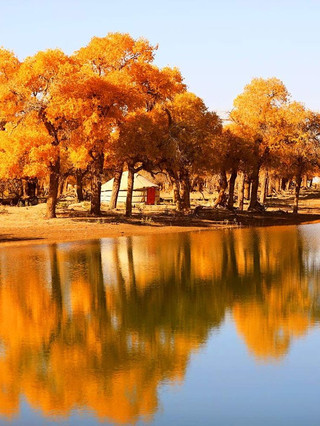 6-day Zhangye and beyond itinerary: just copy and go