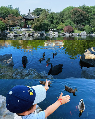 瘦西湖紅園酒店|不止三月可以下揚州