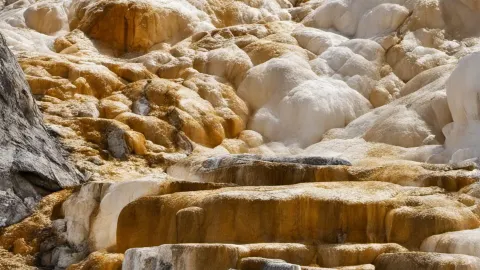 Panduan Liburan Amerika 6 Hari: Anti Ribet & Pasti Estetik! 📸 — traveler post in Jackson
