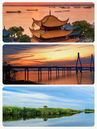 Taking the high-speed rail with kids, these 8 cities are perfect for visiting in autumn.