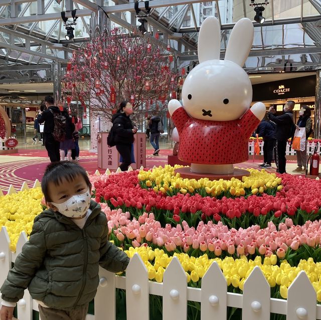 《太古城中心X Miffy「春意花開」》