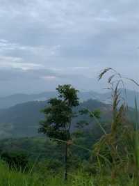 Hiking at Broga Hills