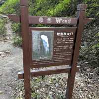 電影夢幻場景 - 天生三橋